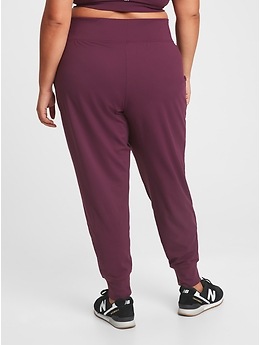 Terra & Sky Women's Plus Size Knit Pants (Regular and Petite