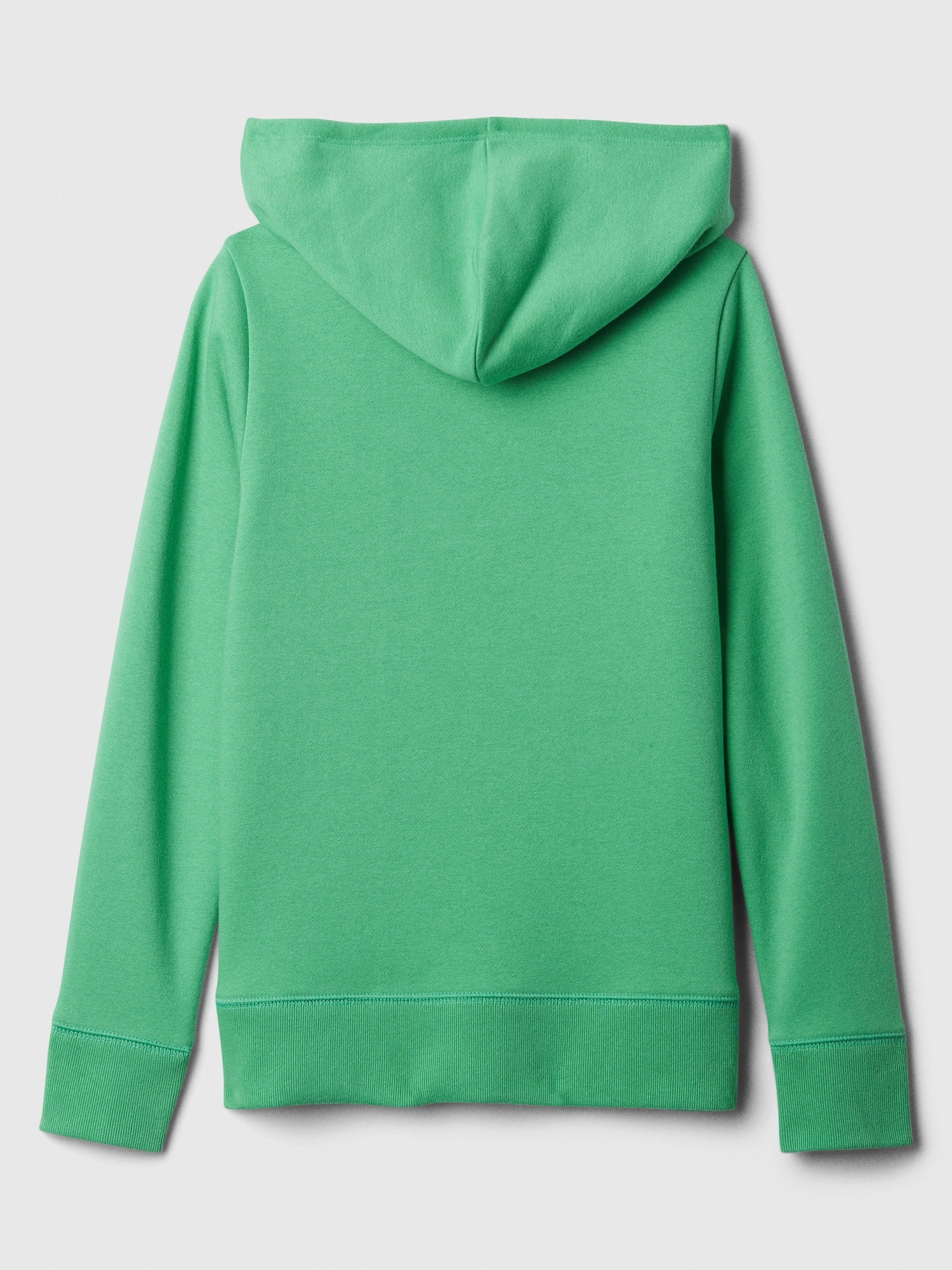 Gap mint best sale green hoodie