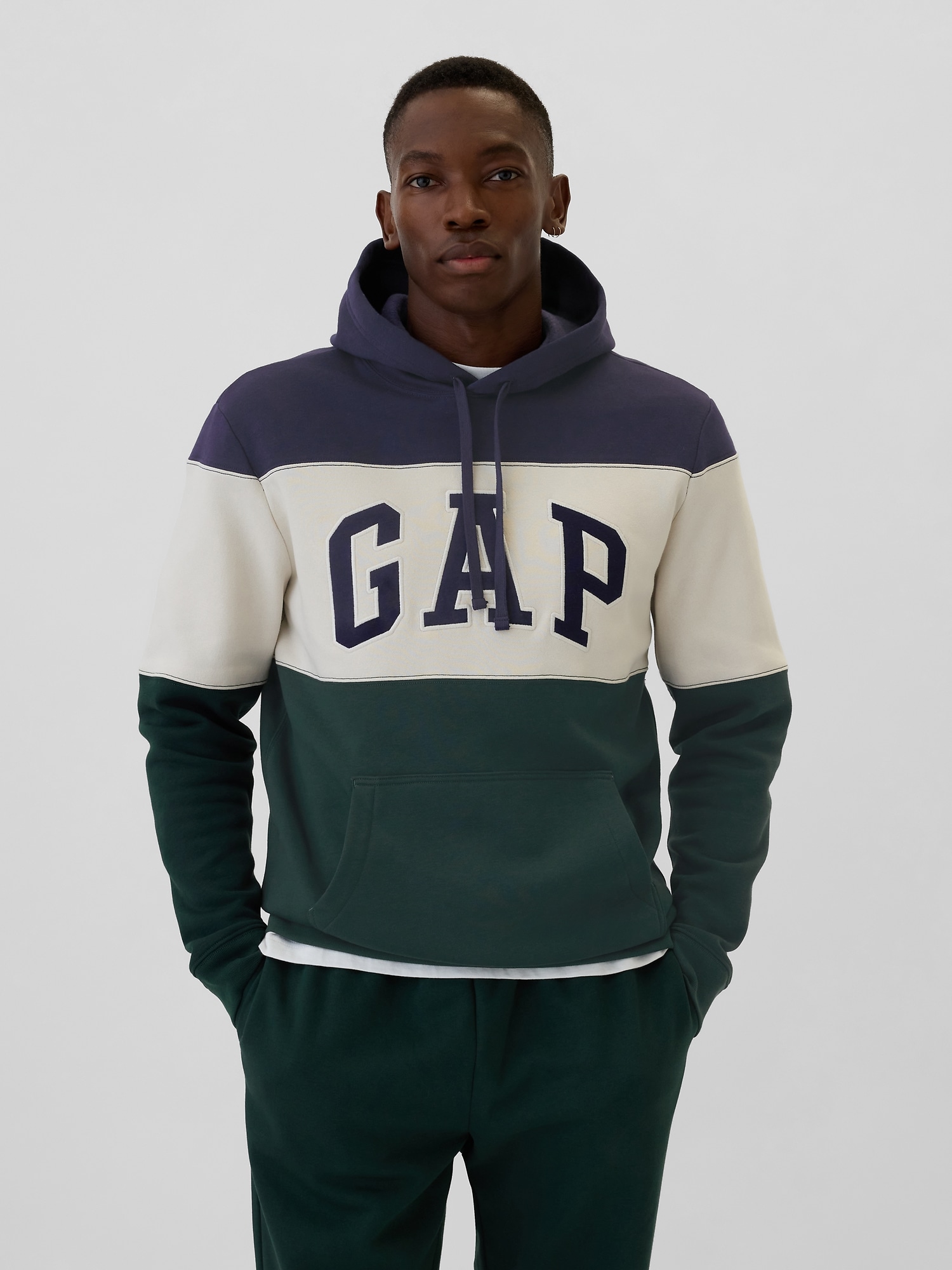Gap Logo Colorblock Hoodie