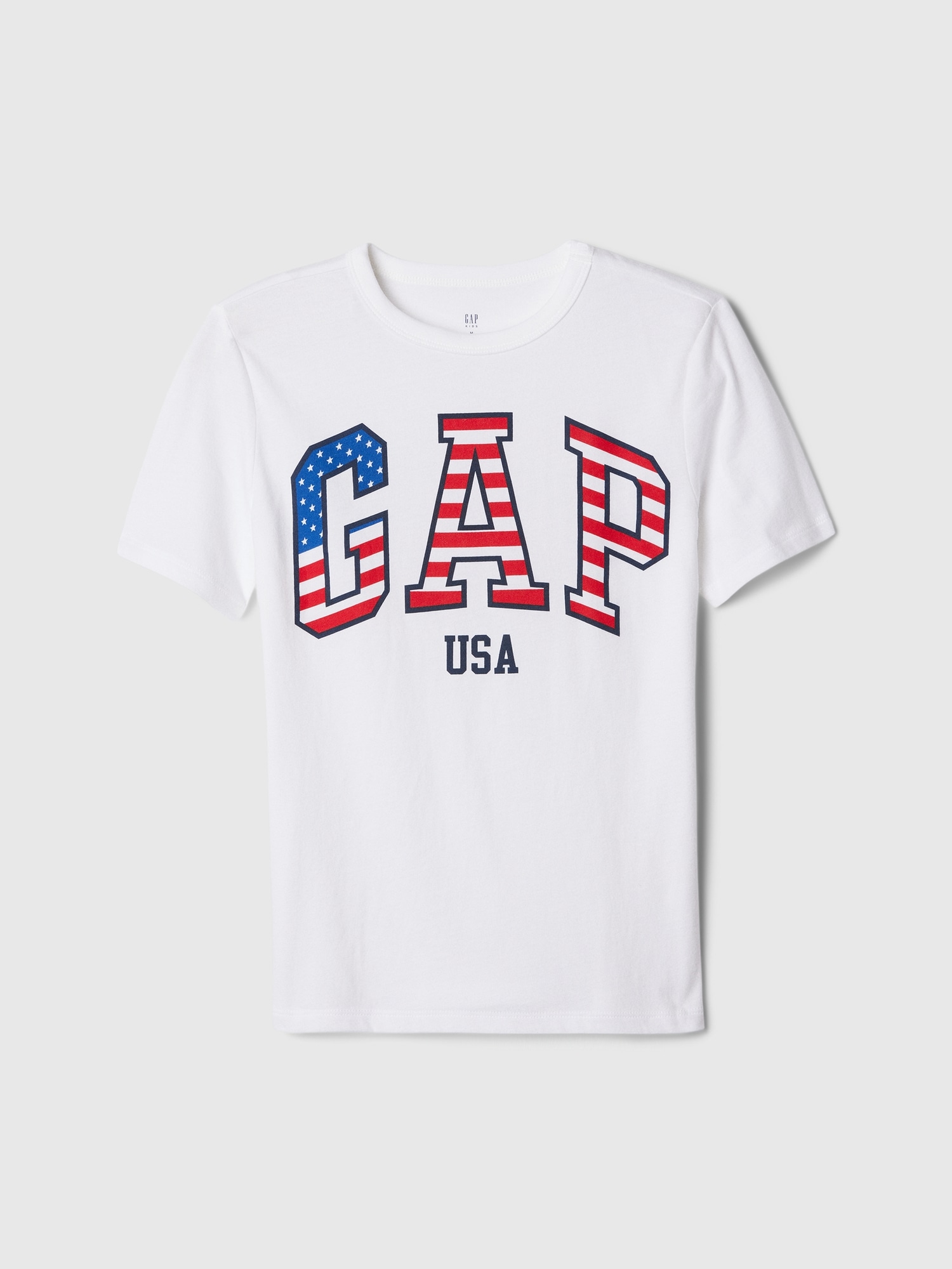 Kids Gap USA Logo T-Shirt