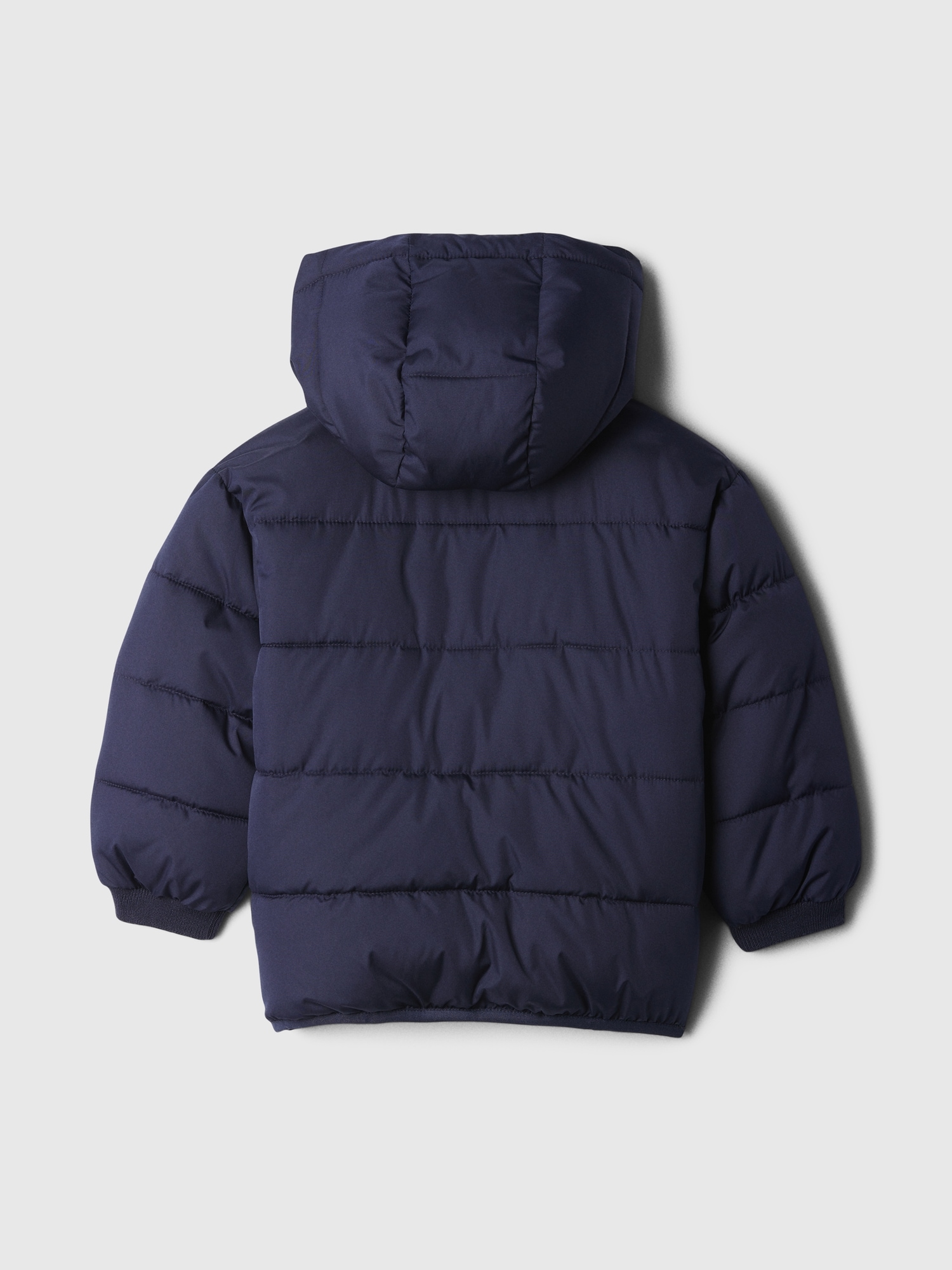 Gap baby orders boy jackets